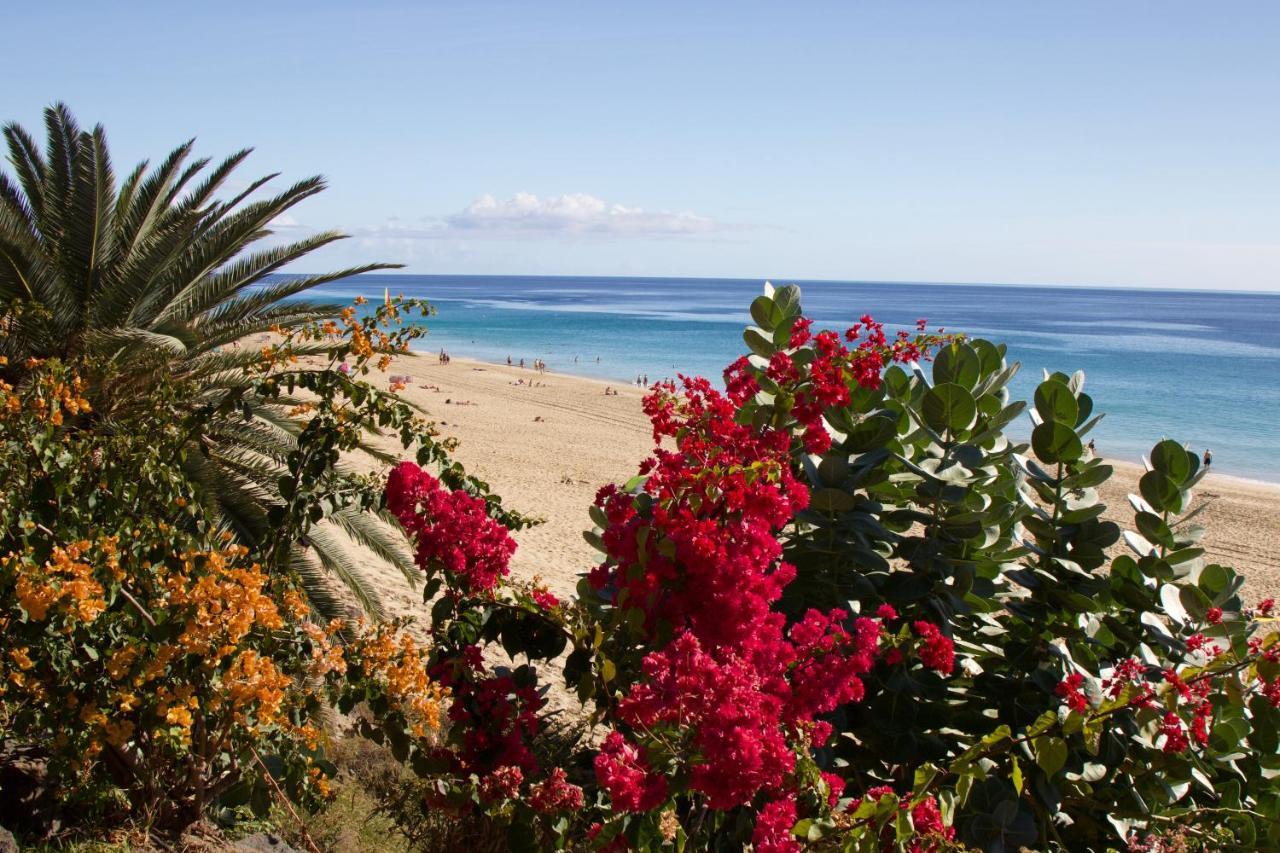 Bungalow Silvia Caleta De Fuste Bagian luar foto